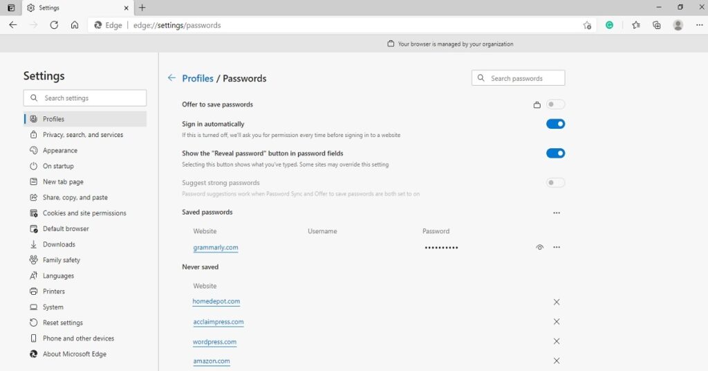 Google Password Manager Example